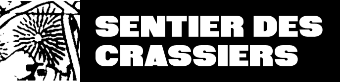 Sentier des Crassiers